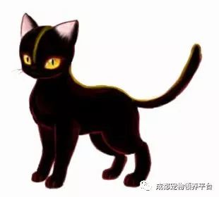 谁说土猫无名猫?快来围观古代猫谱,你家有没有镇宅神兽!