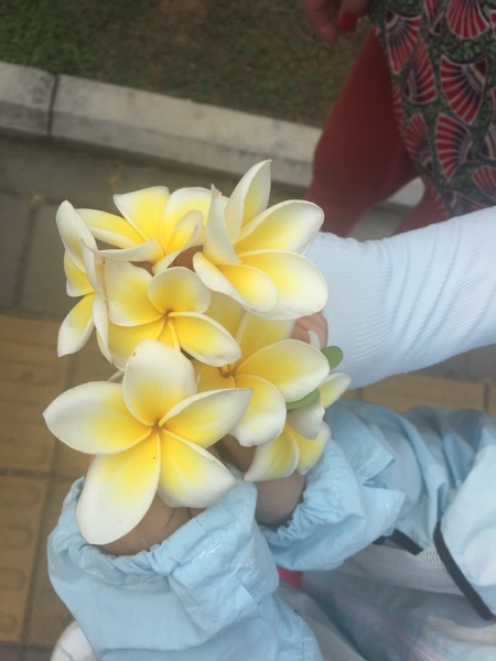 亚龙湾4天三晚,三亚7天6晚红树林