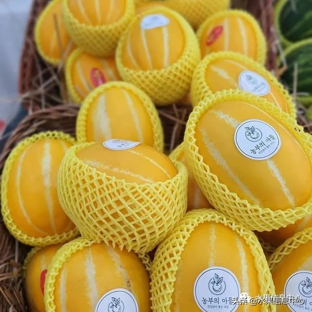 如何做水果电商创业项目,电商水果运营自学全套教程