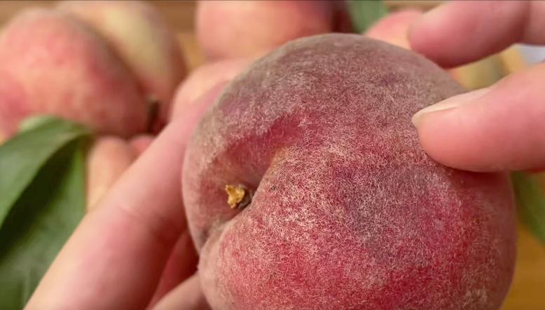 购买桃子的如何挑学会这5个技巧,老瓜农教你挑选桃子