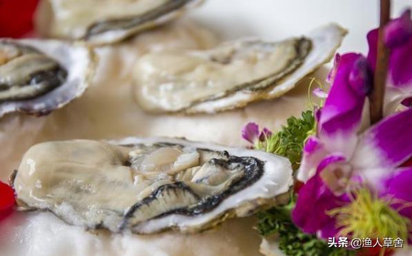 威海乳山牡蛎生蚝,乳山生蚝鲜活大牡蛎