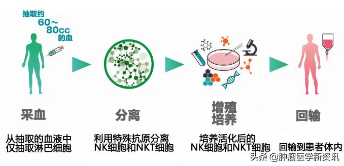 alk阳性肺癌能用免疫治疗吗,alk阳性肺癌手术后复发率