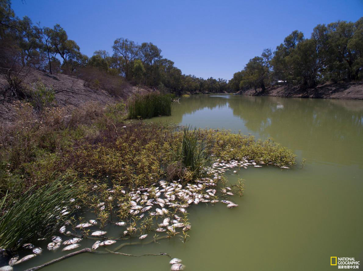 澳大利亚大火洪水,澳大利亚大火蔓延到哪里