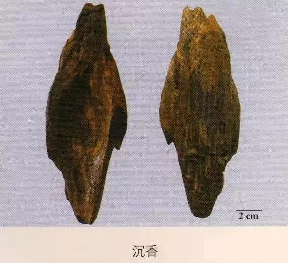 中药材图片大全大图带药名,200多味中药材图谱带图