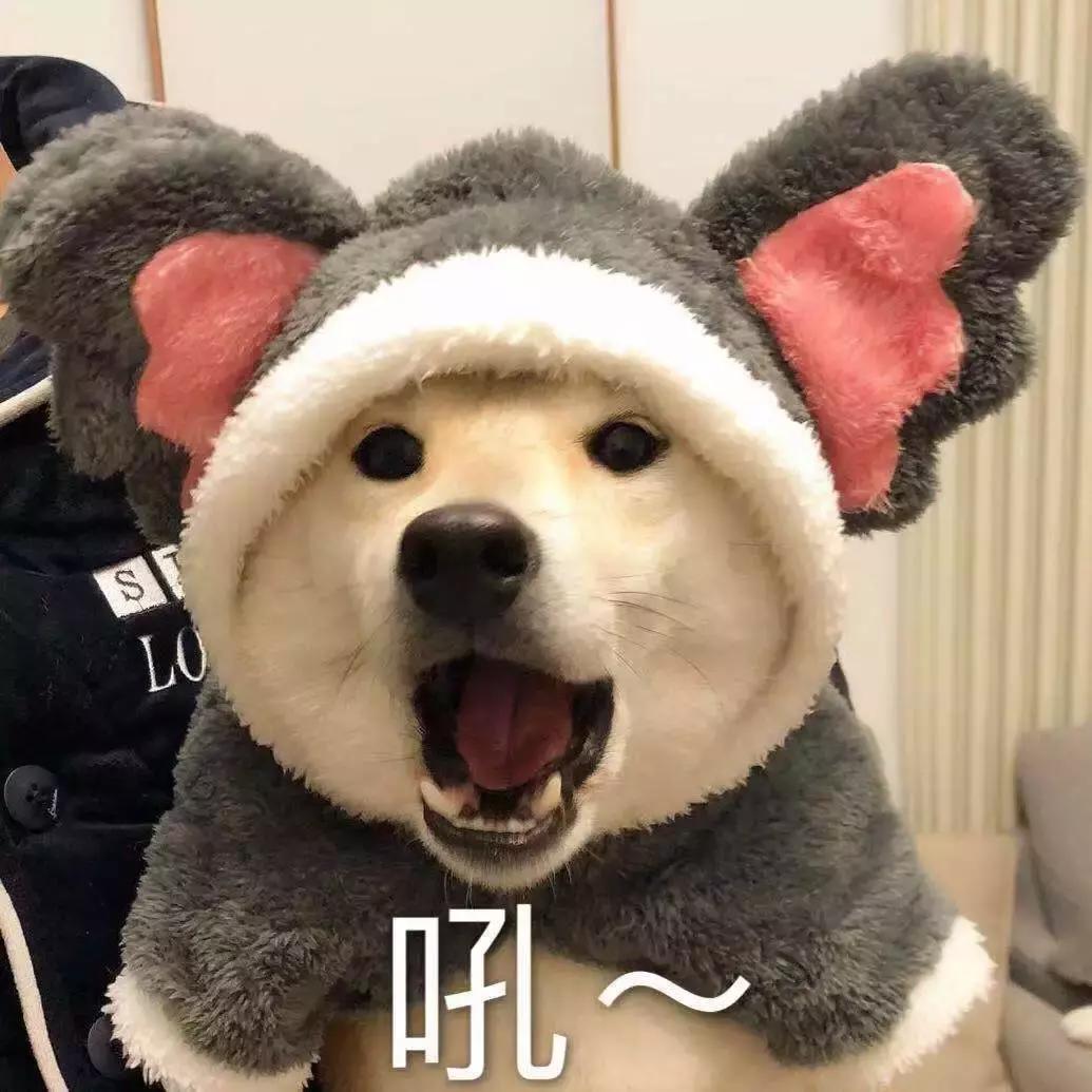 cpb隔离霜本土版测评,cpb隔离霜老爸评测