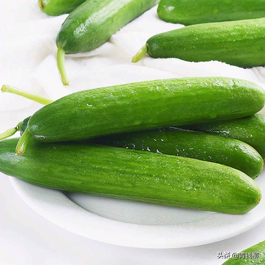 大棚黄瓜种植栽培管理技术冬天,大棚水果黄瓜如何管理高产