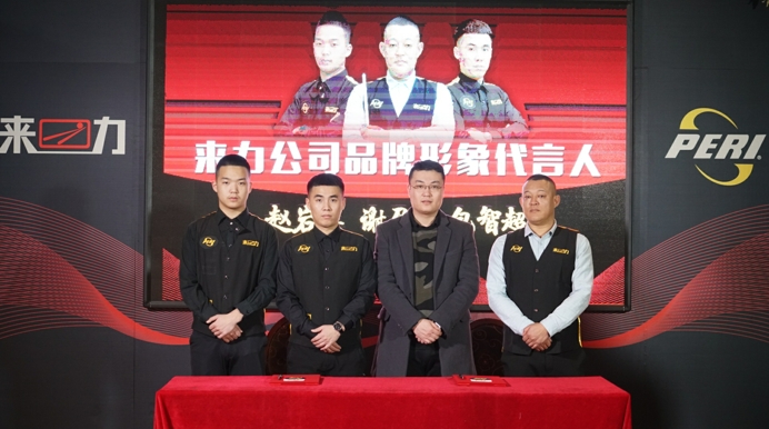 皮尔力成员,皮尔力天王和代勇