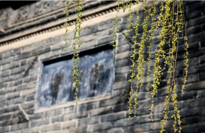 还犹豫啥？楼观处处好*光春**，吃住游玩全搞定！