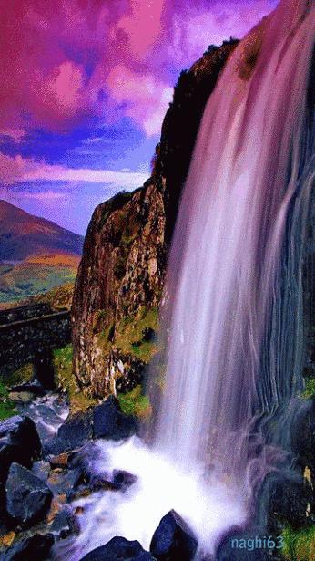 世界是你的也是我的但终归是你的,世界是你的也是我们的