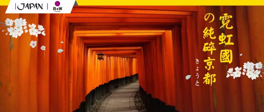 b+w滤镜值得入手吗,经验贴测评