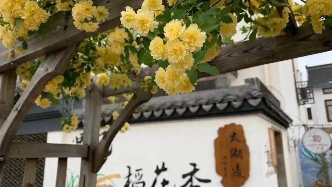 苏州旅游必打卡的10个景点,苏州适合周末放松的景区