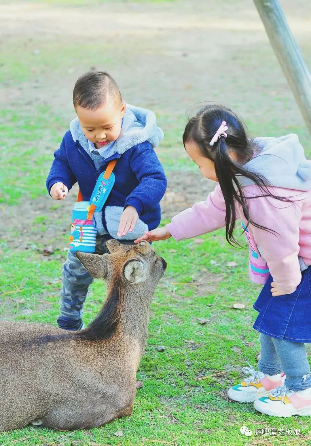 京都和大阪地理位置,京都奈良大阪位置