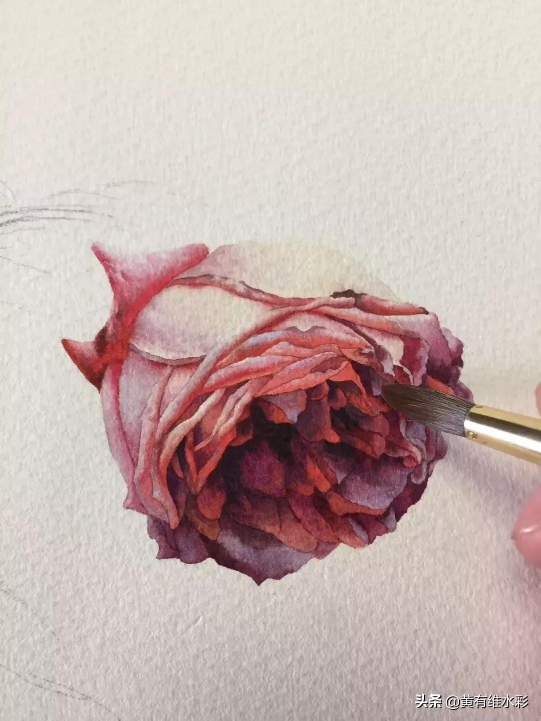 33朵玫瑰制作全过程,英伦花教程