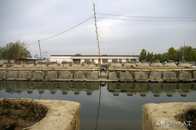 在印度芳香小镇寻访精油，都遇到了什么事