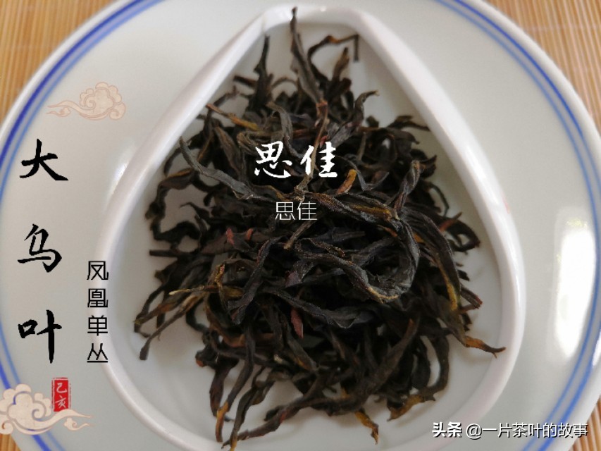 凤凰单枞可以冷泡吗,凤凰单枞泡几回