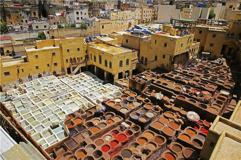 在摩洛哥隐藏于市井的拉巴特花园里，在当地人的回忆和渴望中，我看到了一个真正的摩洛哥