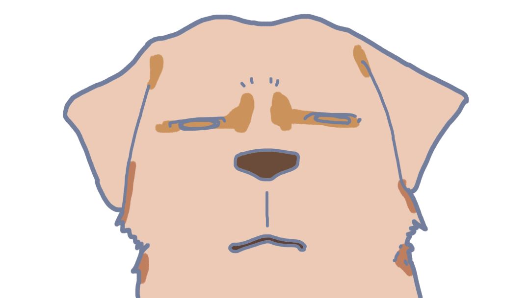 别惹你妈生气,过年不回家惹父母生气了