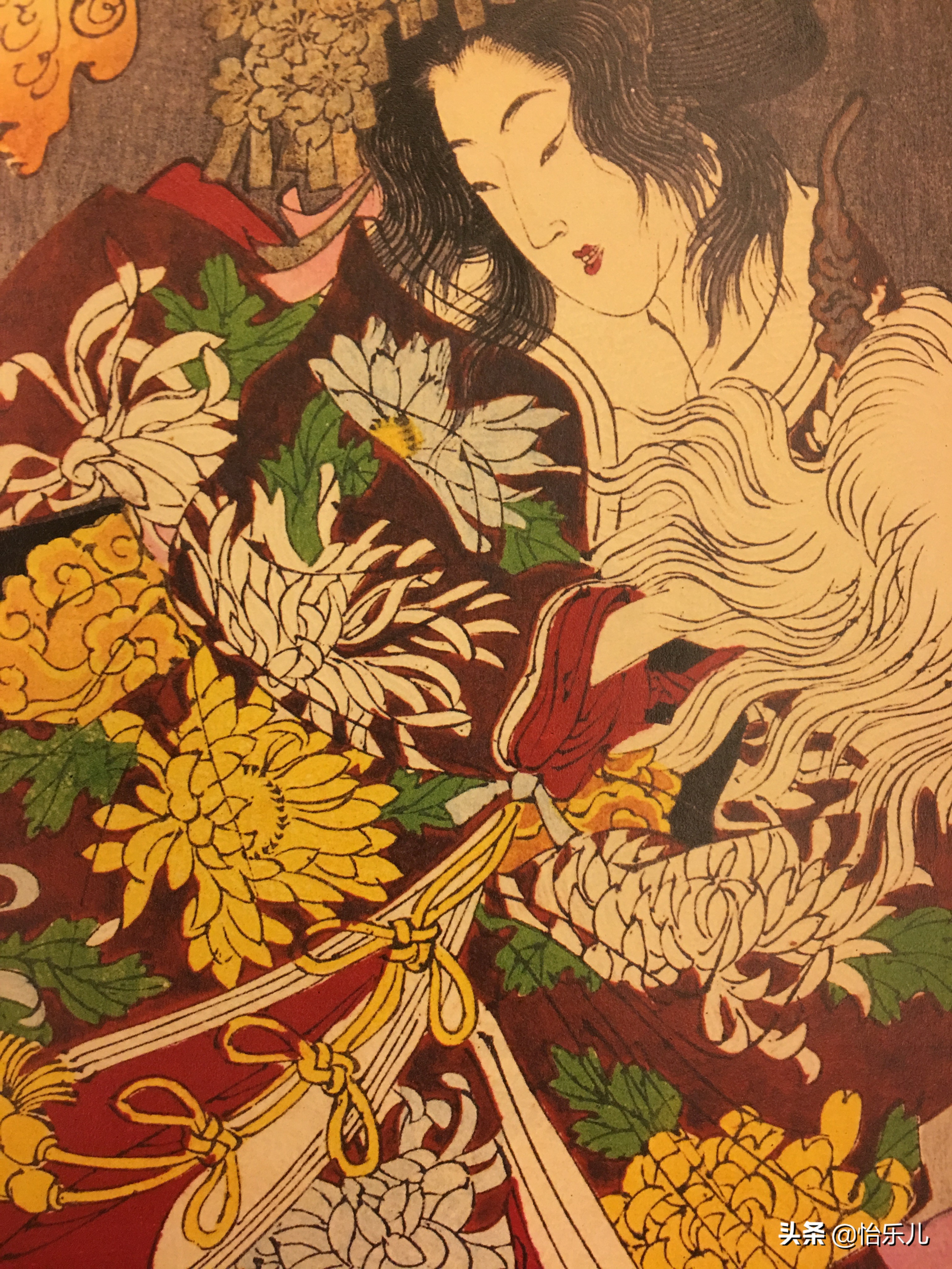 青丘之山有兽焉下一句,青丘之山里真的有九尾狐吗