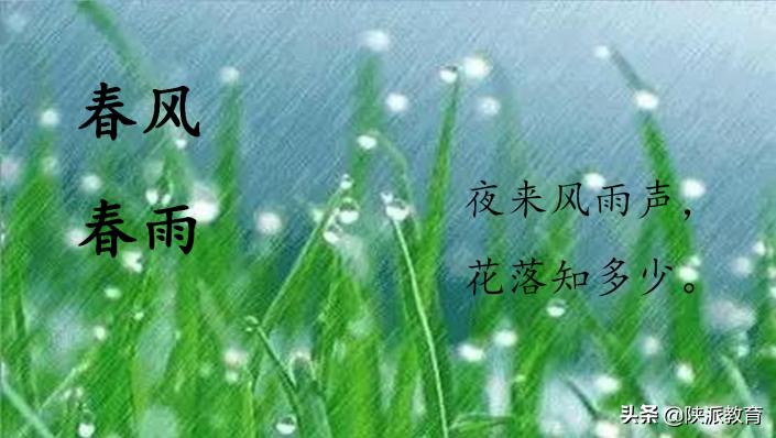 西安华远海蓝城小学教师李艳：《花开时节，花飞起飞花令》实践活动课教学设计