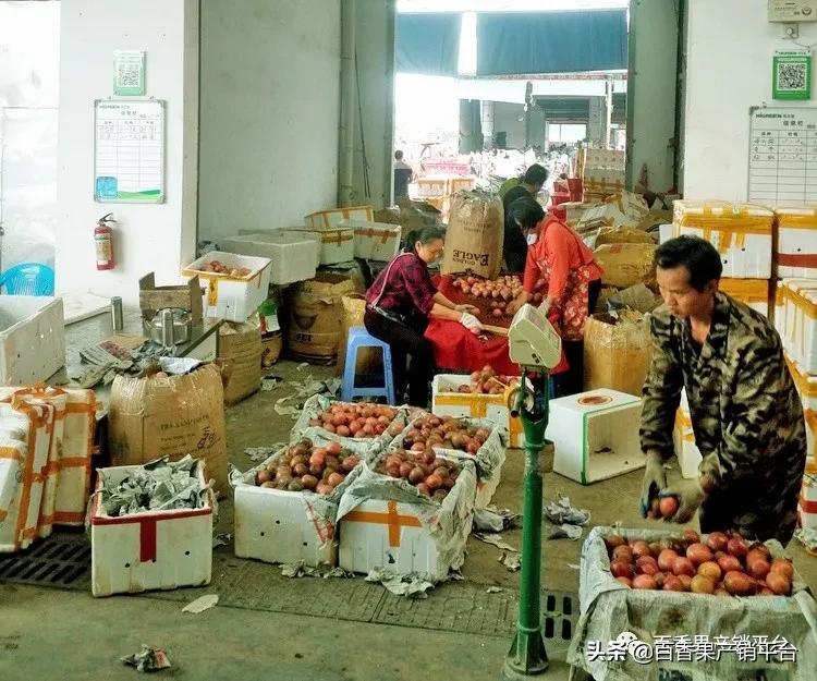 百香果卖苗套路,百香果销售渠道有哪些
