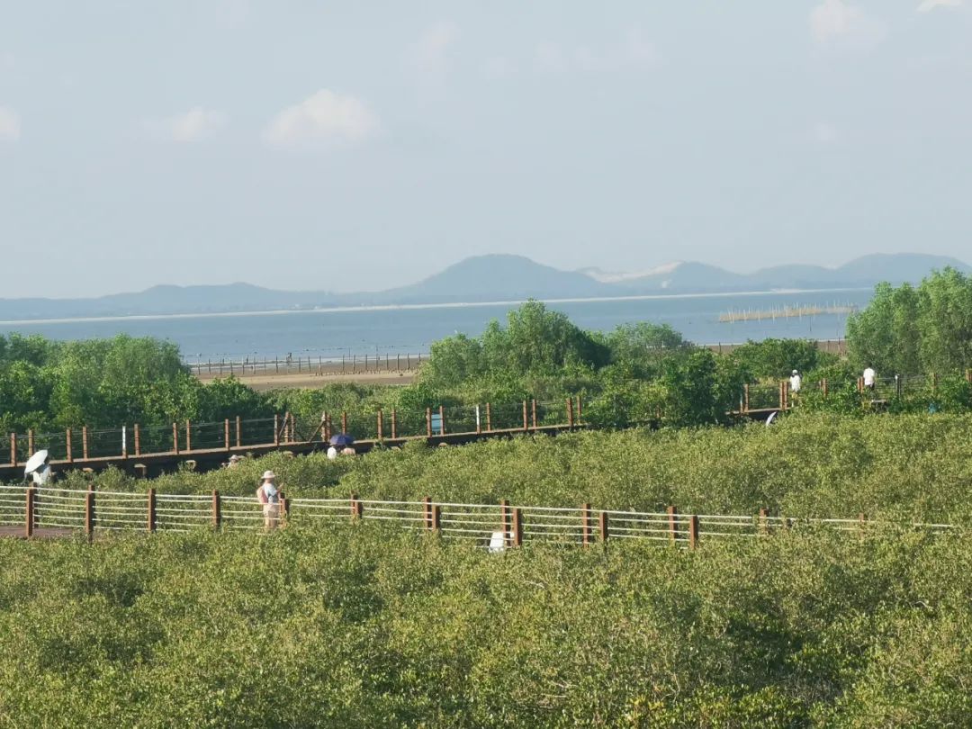 海陵岛吃住行玩,海陵岛旅游攻略美食