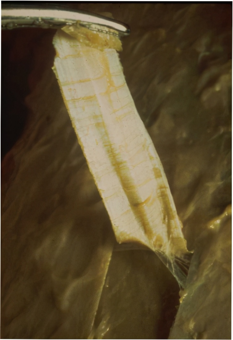 动作学院课程,动作学院体能培训