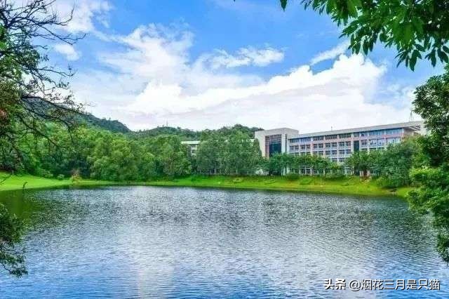 征集志愿广东专科有哪些学校,广东专科征集志愿学校