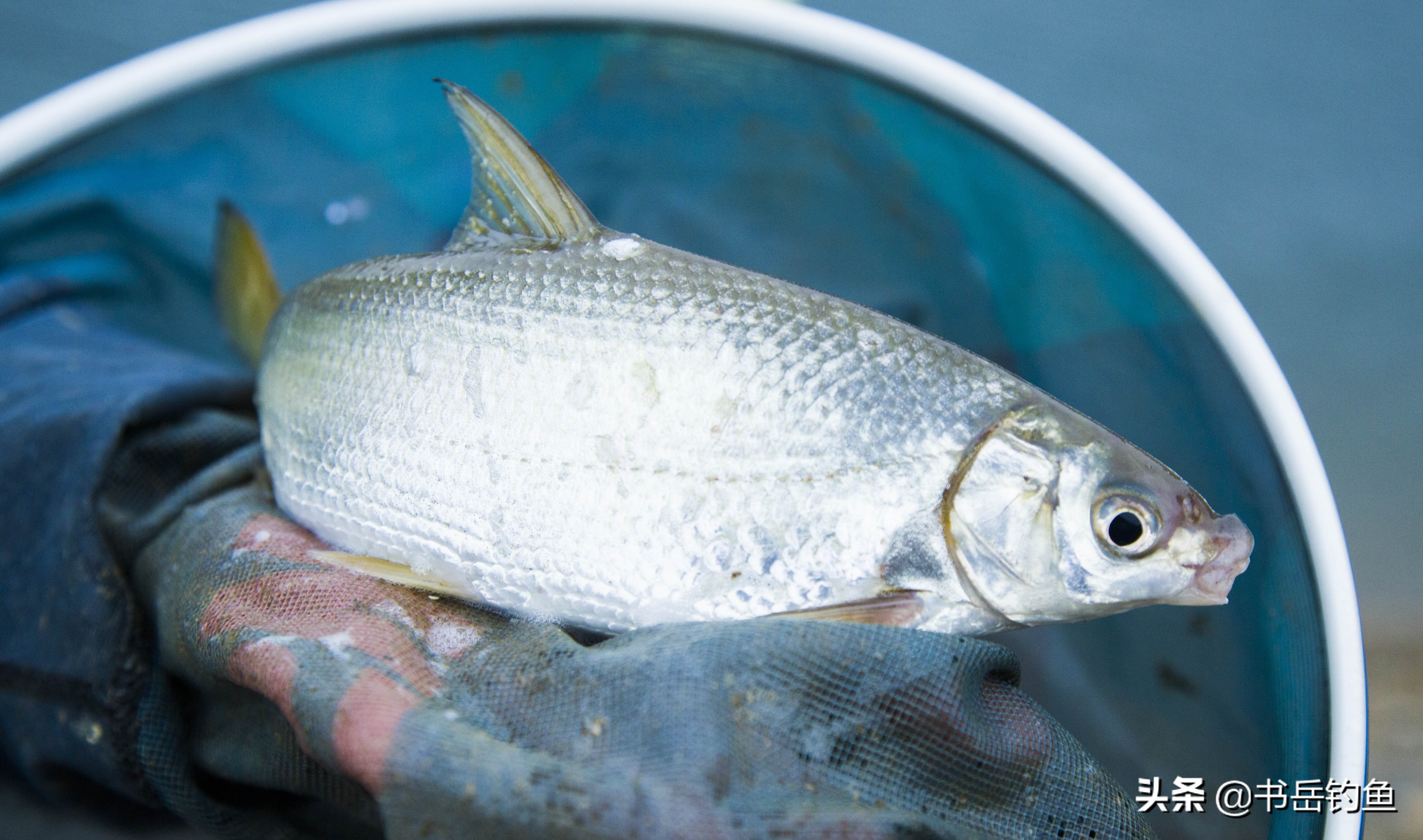 阴雨天对钓鱼的影响往往是负面，从环境变化到鱼类行为都有见证