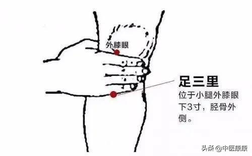 三伏灸的贴法,三伏贴冬病夏治怎么用