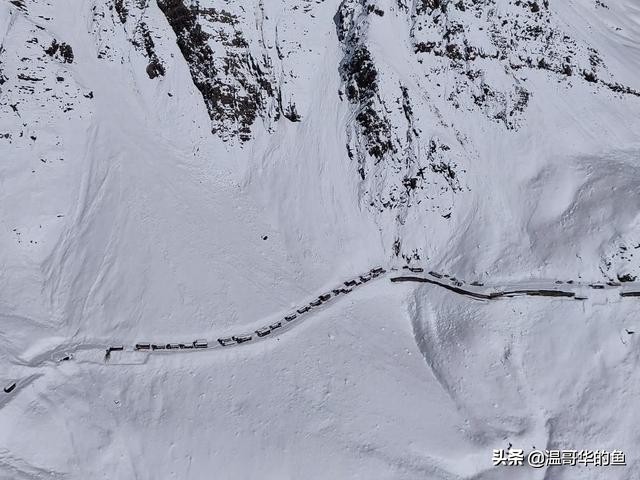 拉达克地形,拉达克军总兵力