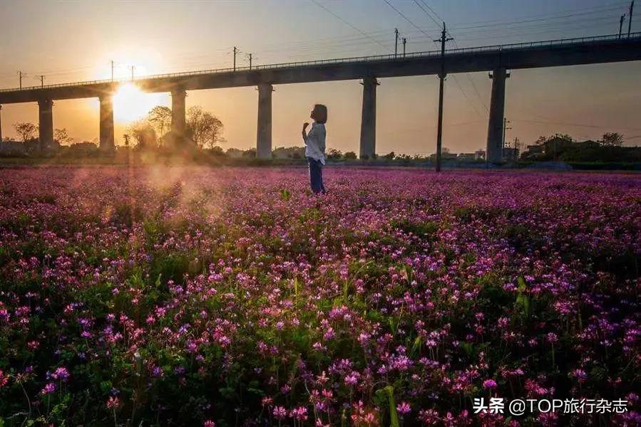 原来长沙隐藏了这14个人少景美的江心洲!不出城就能感受“海岛风情”,有些可以追溯到五代十国……