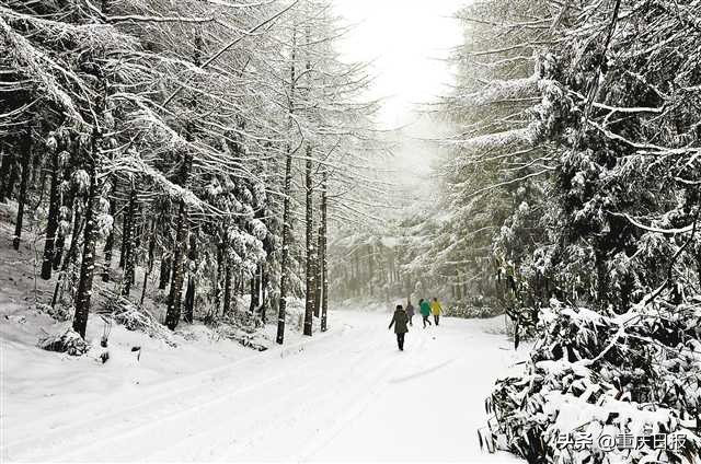 昨日大范围降雪是不是人工降雪,我市多地迎来降雪天气