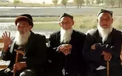 新疆八大怪产品是什么,新疆非野生与野生罗布麻茶区别