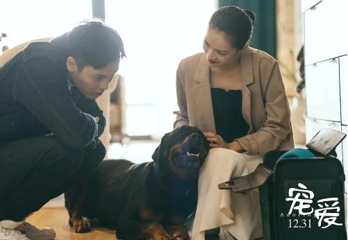 宠爱和尊重,爱一个人就是无条件的宠爱