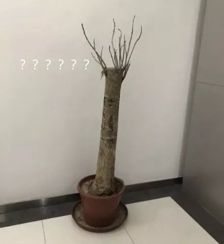 学生爆笑表情包,大学生打招呼幽默表情包