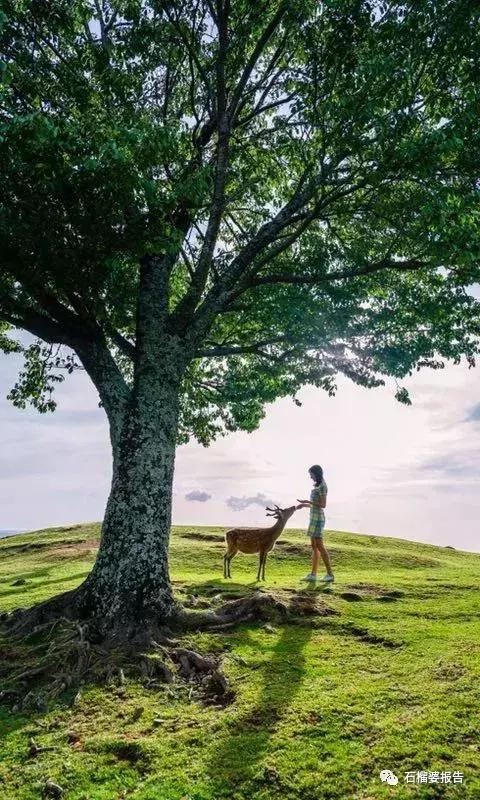 穿上它就不需要P图,这条短袖连衣裙真实爱上