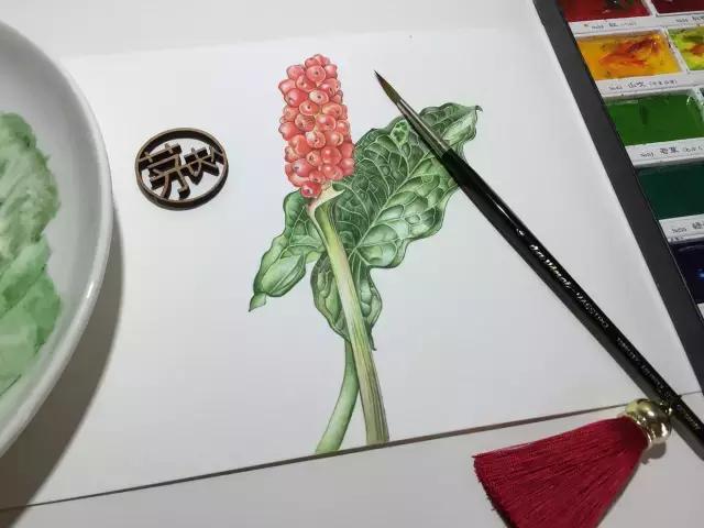 水彩密密麻麻的树叶怎么画,水彩画教程入门叶子