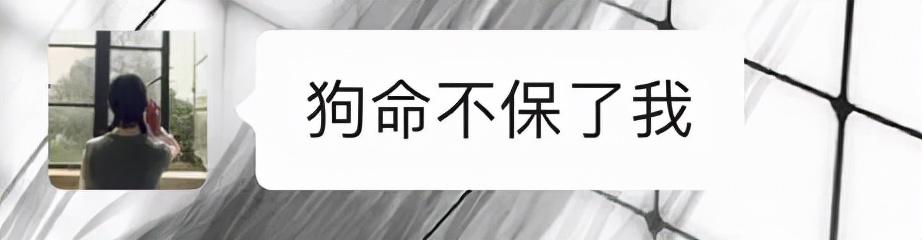 山东姑娘为啥长得那么漂亮,山东姑娘有多美