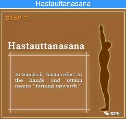 哈他瑜伽拜日式完整教程,哈他瑜伽拜日12式详细口令