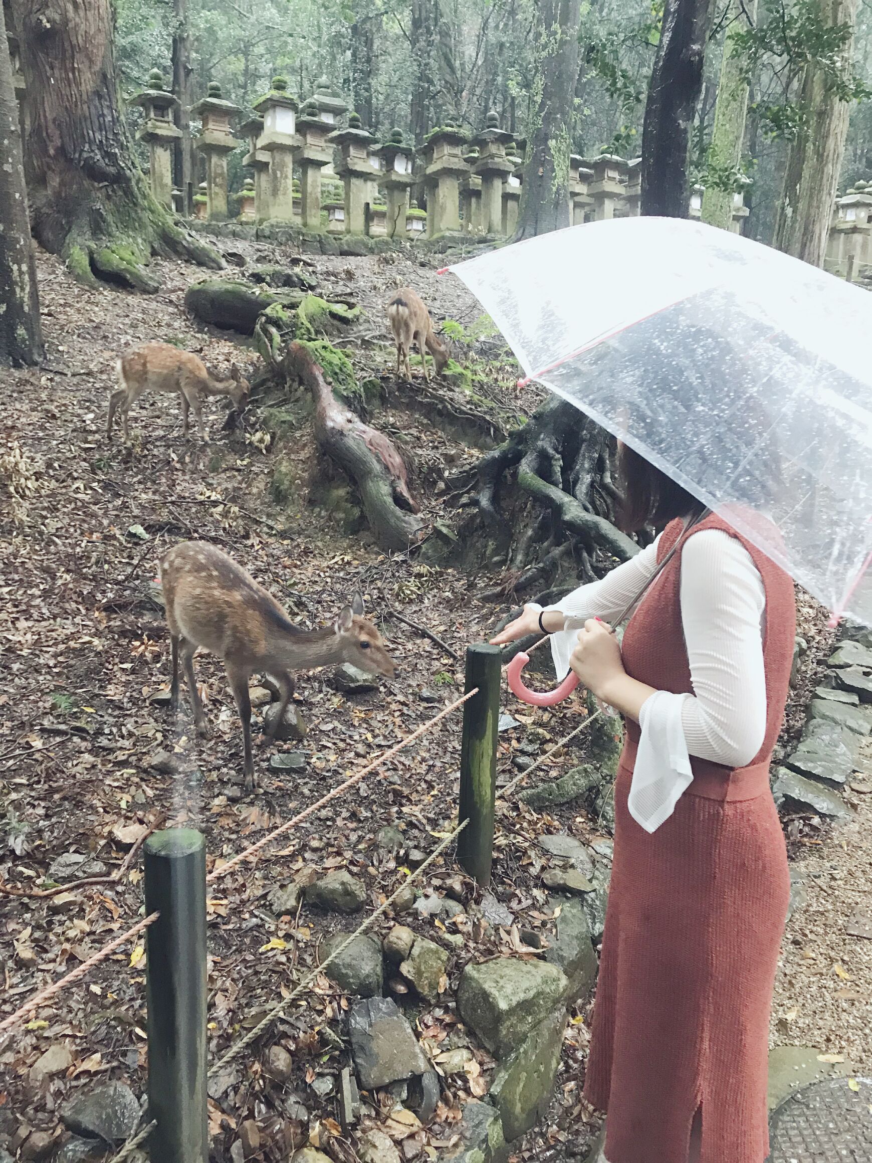 日本本州六日游攻略,日本本州旅游六日游