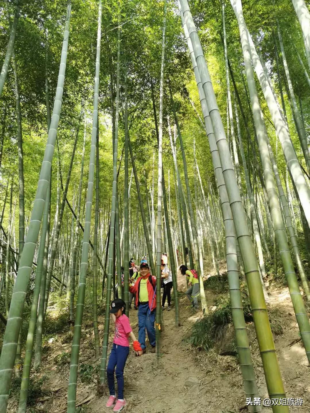 户外徒步注意事项应急措施,户外徒步露营安全常识