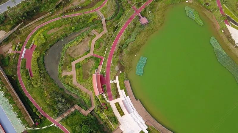 在厦门有一个又大又漂亮的公园,厦门东山水系公园