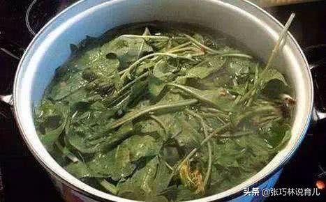 女子喝蒲公英入院,女子因喝饮料进医院