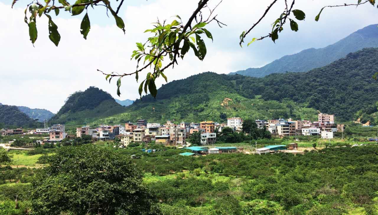 从化挖笋的地方,从化旅游攻略夏日旅行