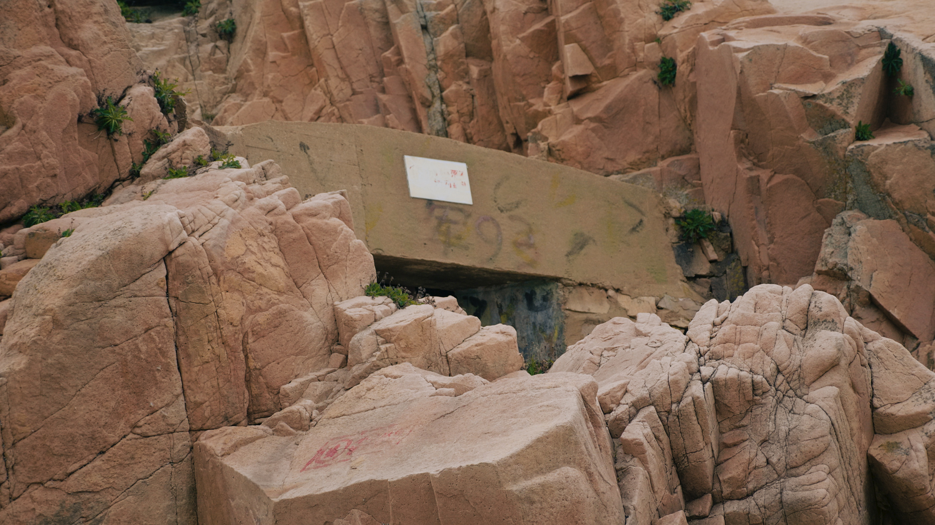 浙江嵊泗列岛三日游,嵊泗四日游旅游攻略