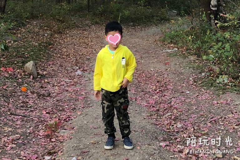 秋天落叶手工作业,秋天的颜色手工作业