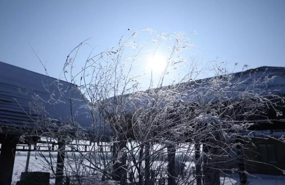 下雪后的海边图片大全,六月份的红海滩