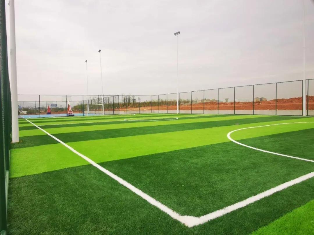 白果果岭尚景安置房户型,金堂白果果岭尚景和光辉水岸