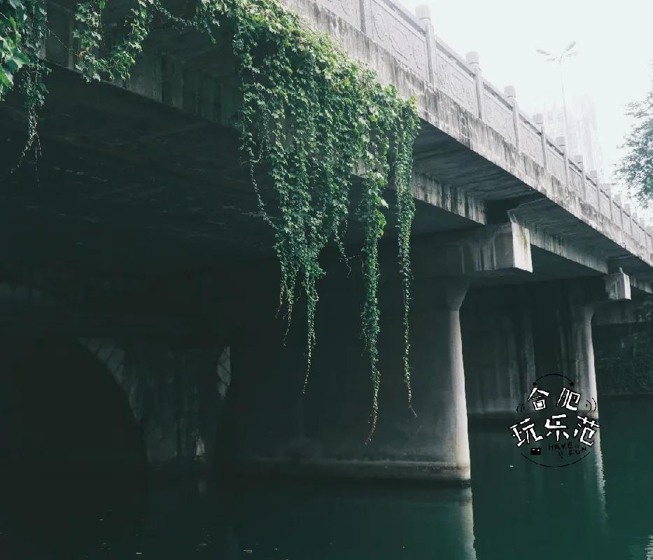 观银河,看银河听风吟的视频