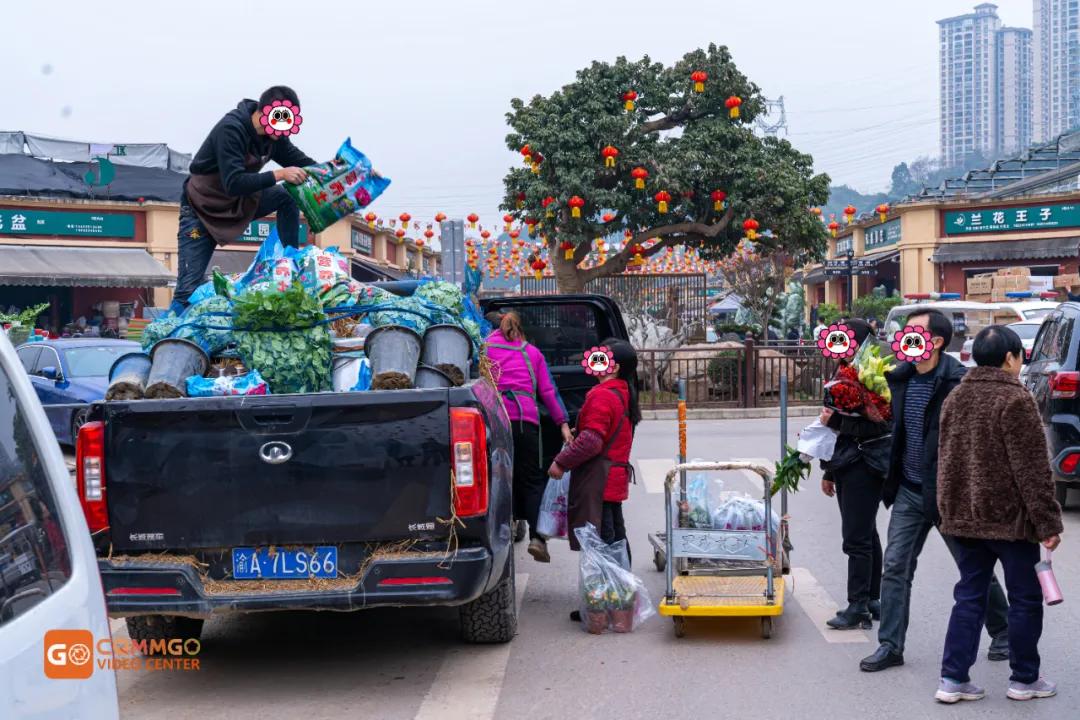 重庆花市排名前十名,重庆花市哪里最便宜